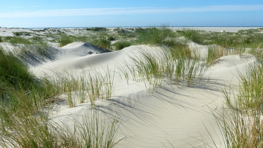 Others 4, Kaap2, Leer
