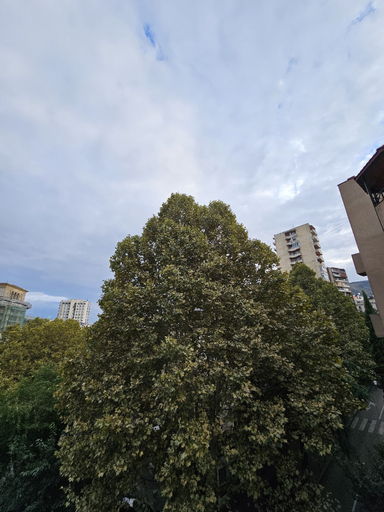 Exterior & Views 2, Hotel Giorgi, Tbilisi