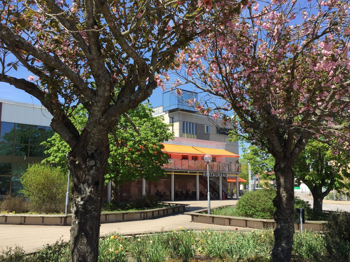 Exterior & Views 2, Hotell Hulingen, Hultsfred