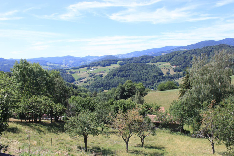 Scenery 9