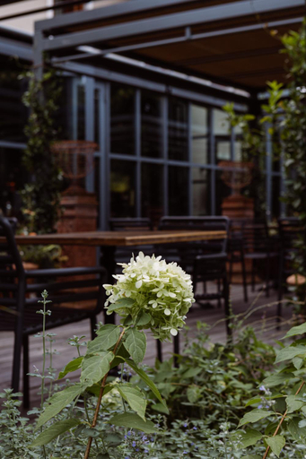 Others 3, Casa TOMA - Luxury Garden House, Vicenza