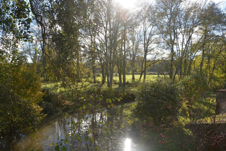 Others 5, Le moulin Grenon, Yonne