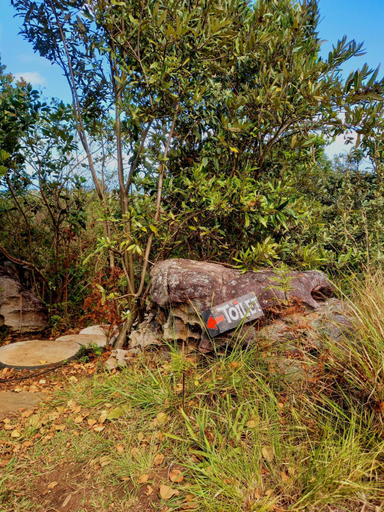 Scenery 5