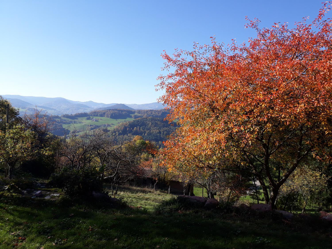 Scenery 1