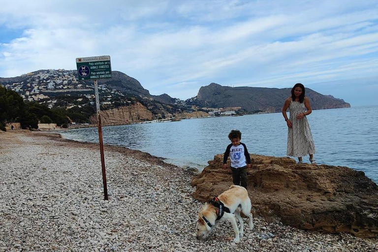 Others 4, Villa Altea Moderna Vistas Panoramicas, Alicante