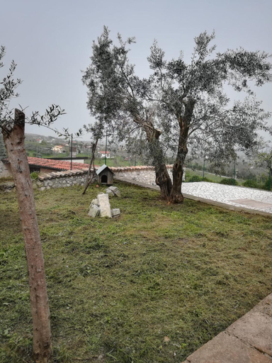Others 4, Mavianto, Avellino