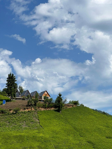 Others 3, sitiela bungalov kir evi, Ardeşen