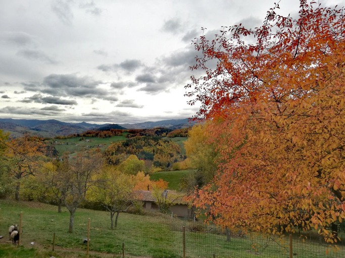Scenery 3