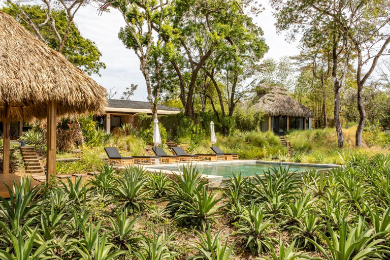 Others 2, THEA Resort & Retreats - Santa Teresa, Puntarenas