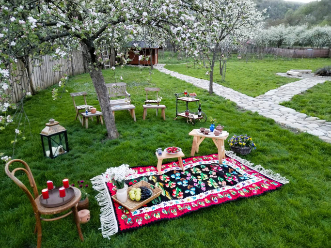 Others 5, MAGNETIC HOUSE, Targu Ocna