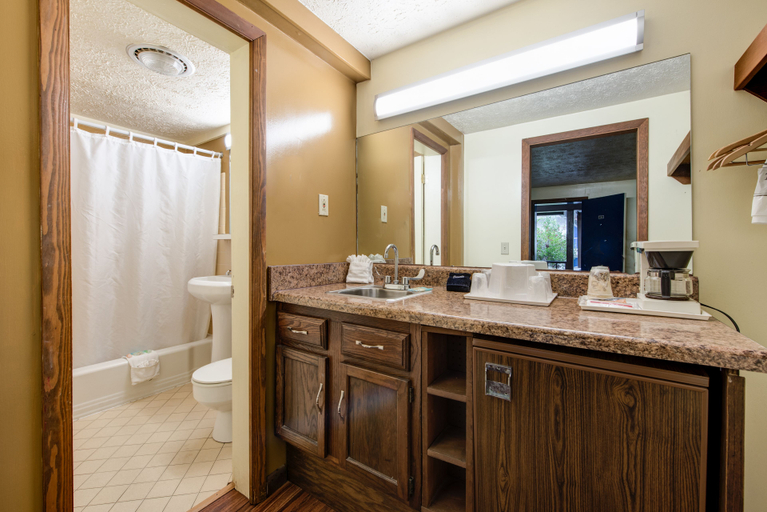 Bathroom 3, Sidney James Mountain Lodge, Sevier