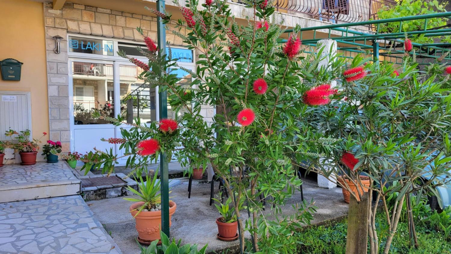 Public Area, Laki-in