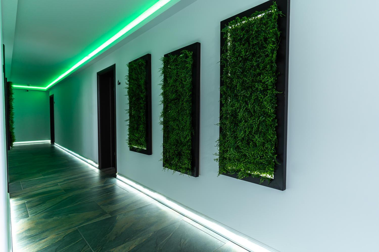 Public Area 2, Green House Stolzenburg, Slimnic