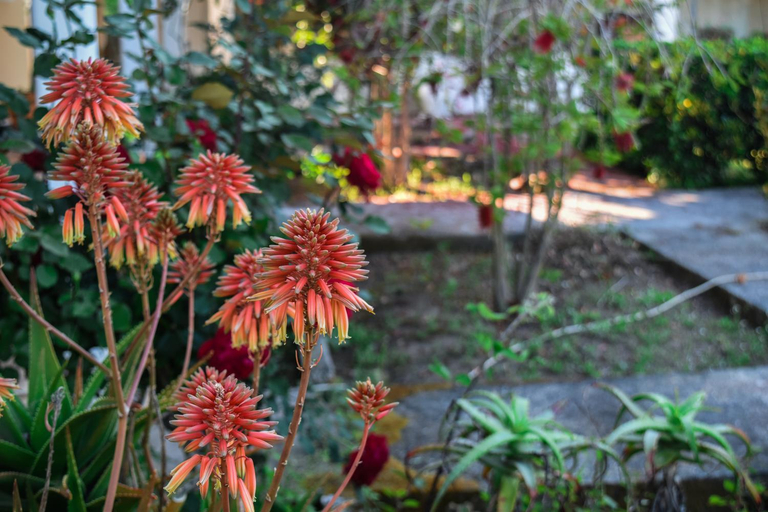 Garden 2, Mirsini Apartments, Ionian Islands