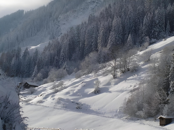 Others 4, Lechlihof, Landeck