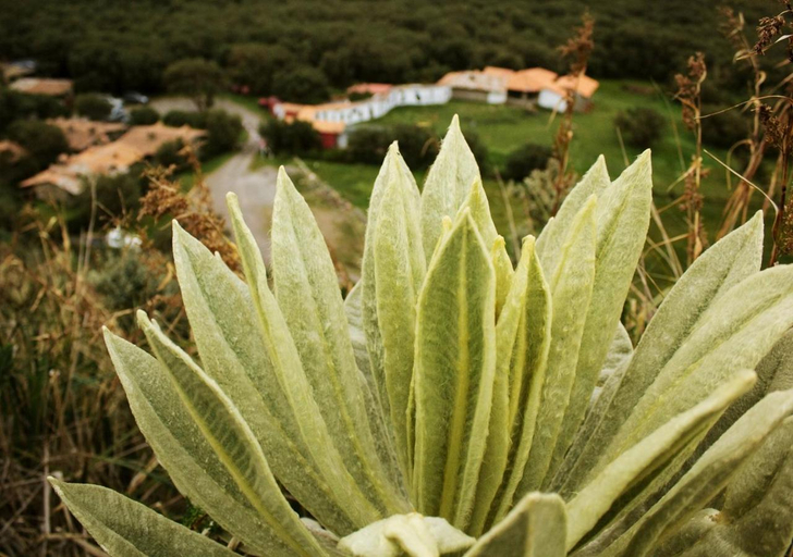Public Area 2, Polylepis Lodge, Espejo