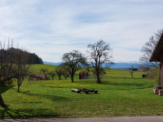Others 3, Bauer Haug, Oberallgäu