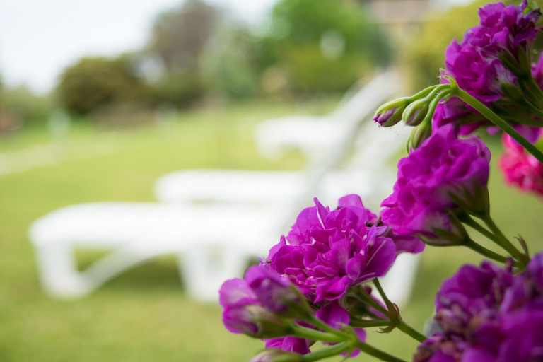 Garden 4, Mirsini Apartments, Ionian Islands