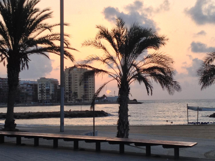 5, Sunny fiat, Alicante
