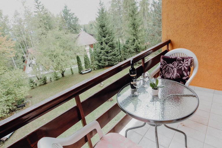 Others 4, Vila Aris Zlatibor, Čajetina