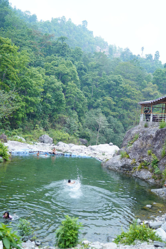 Exterior & Views 2, Village Cafe Homestay, Darjiling
