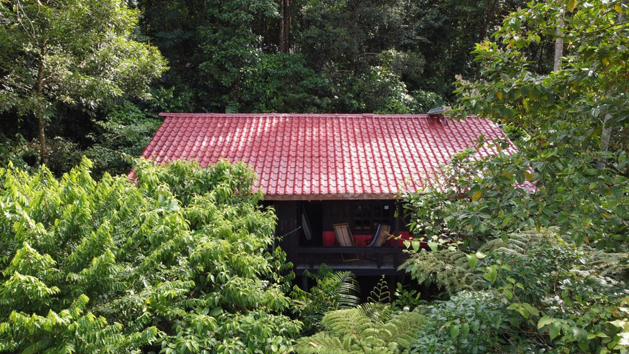 Others 3, Yatama Rainforest Ecolodge, Sarapiquí