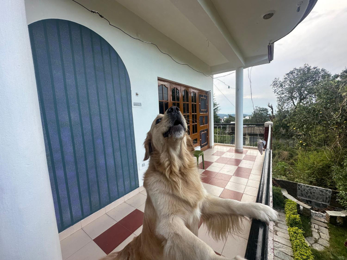 Others 2, SnowBiscuit Villa, Kangra