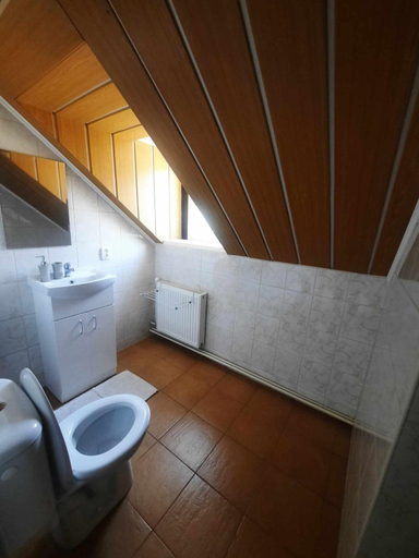 Bathroom, Penzion a restaurace Windows, Česká Lípa