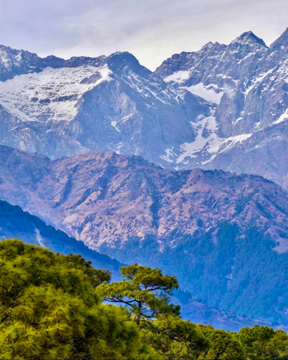 Others 4, SnowBiscuit Villa, Kangra