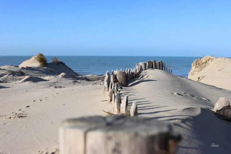 Others 4, EPICETOUT, Pas-de-Calais