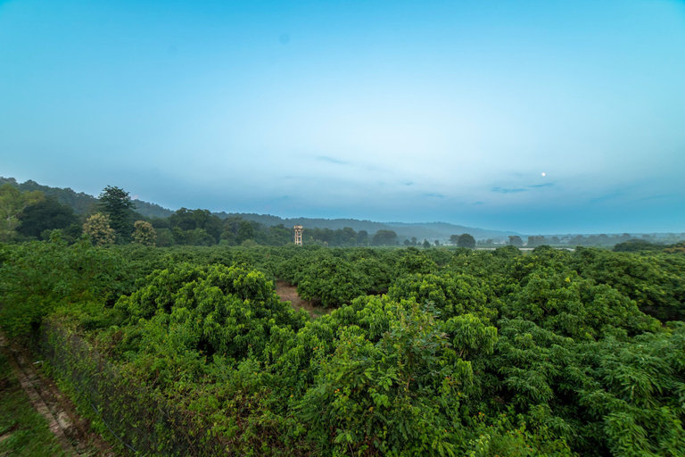 Others 5, Vanya Forest Resort, Nainital