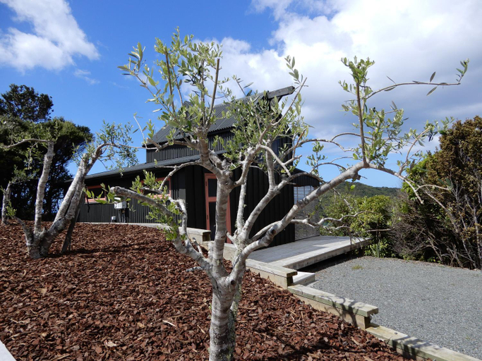 Others 5, The Lighthouse Lookout, Whangarei