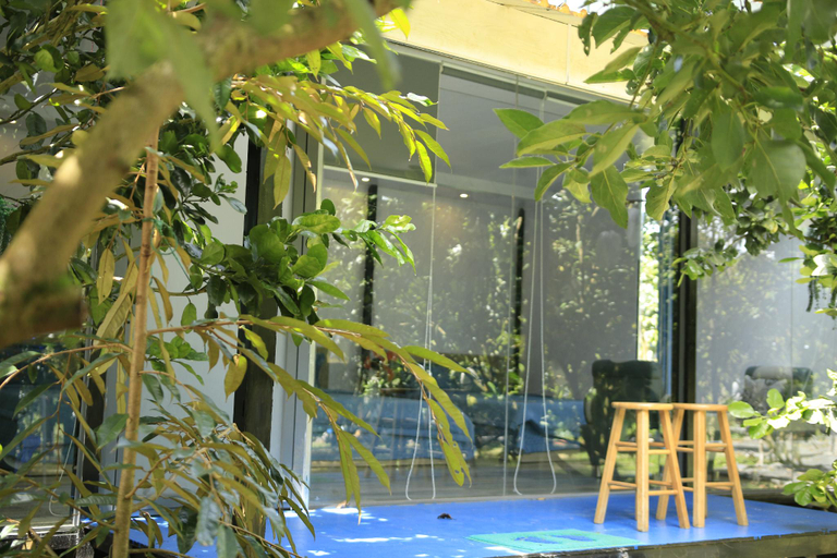 Swimming Pool 1