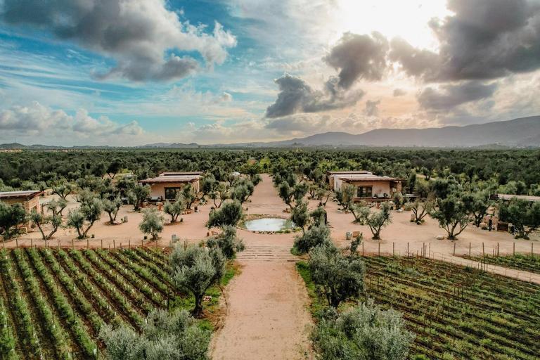 Others 5, Habimo - Valle de Guadalupe, Ensenada