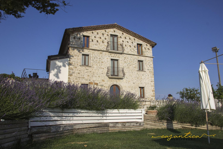 Others 5, casAntica agriresort -Suites & Casa sull'albero, Benevento