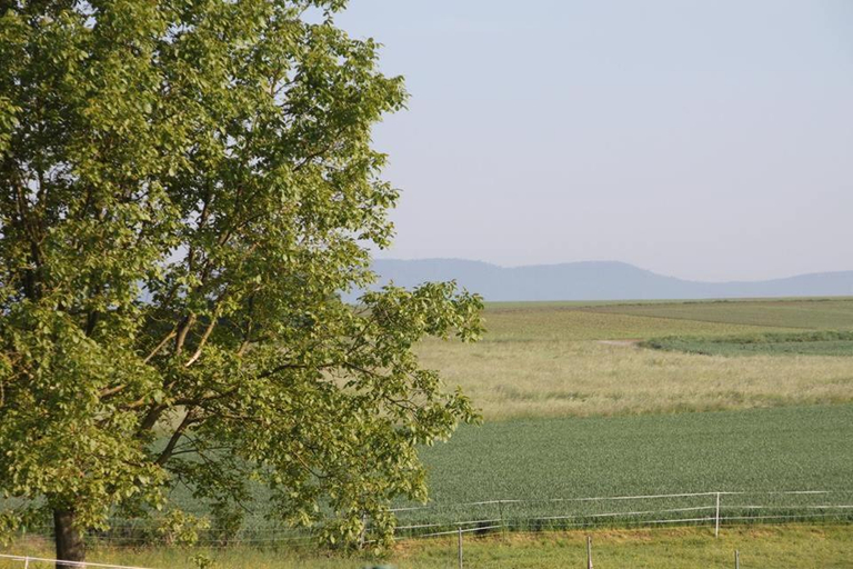 View 5, Gite Decouverte Alsace, Bas-Rhin