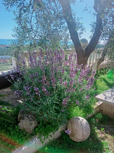 Others 5, Residenza Collina Dei Pini, Foggia