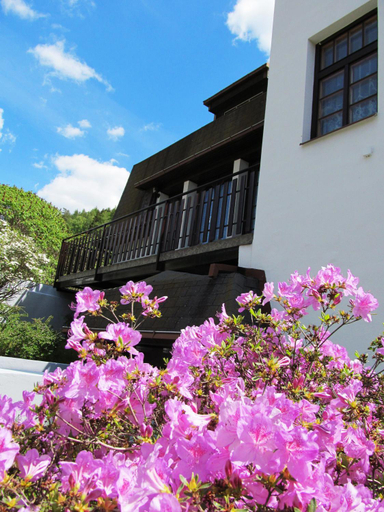 Others 5, Stary mlyn - Hotel Penzion Apartmany v Ceskem raji, Jablonec nad Nisou