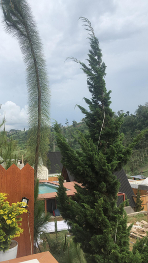 Scenery 1