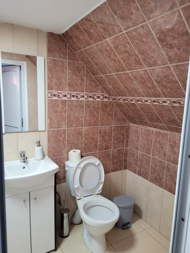 Bathroom, Private room, Sibiu