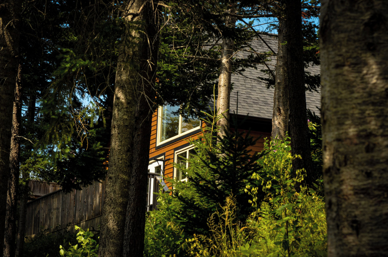 Exterior & Views 2, Indian Falls Chalets, Division No. 8