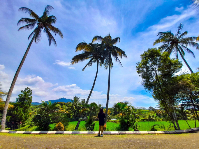 Scenery