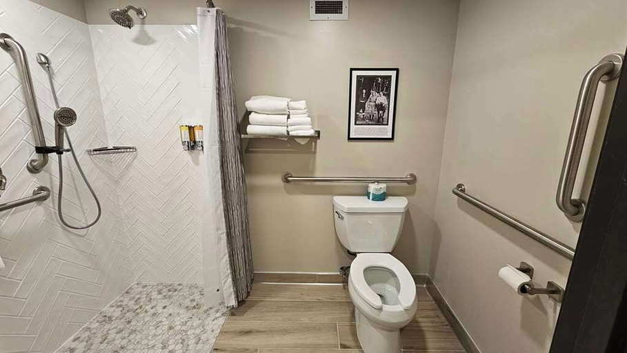 Bathroom 5, Lumber Jack Lodge, an Ascend Collection Hotel, Ogemaw