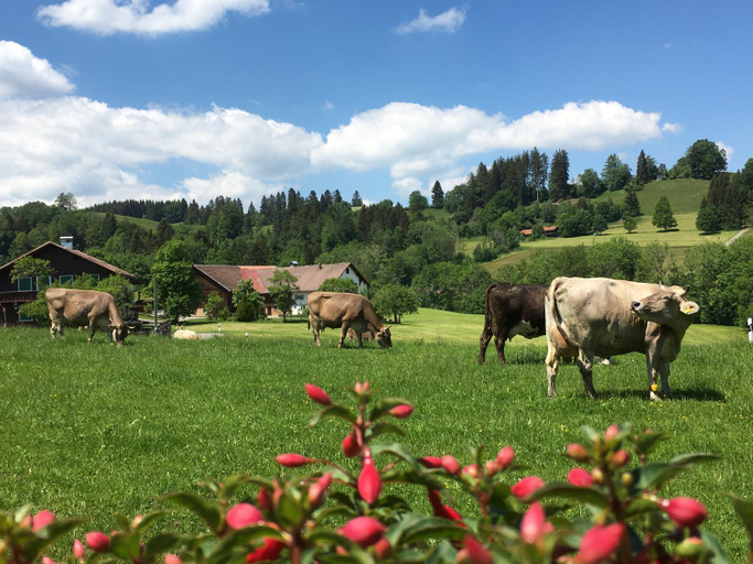 Others 2, Doppelzimmer Heimatliebe, Oberallgäu