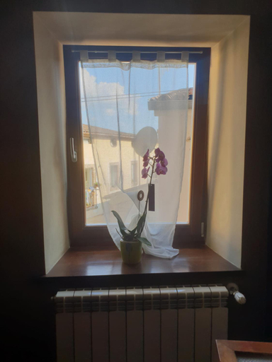 Others 3, Morry's Lodge Guest House, Frosinone