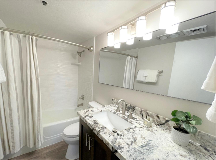 Bathroom 4, The Lodge at the Mountain Village, Summit