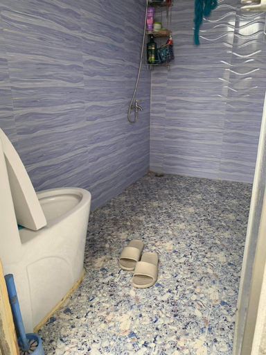 Bathroom 2, Besañes Homestay, Alaminos City