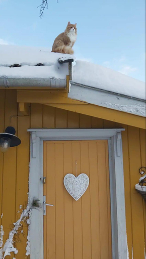 Others 3, Farm stay in cozy cabin at Vestre Kinn, Marker