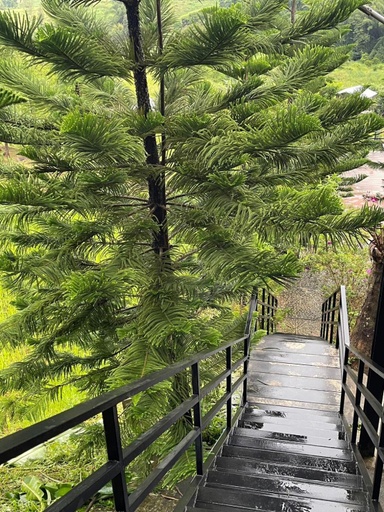 Others 3, Elevated Serenity Lodge in Khao Kho, Khao Kho