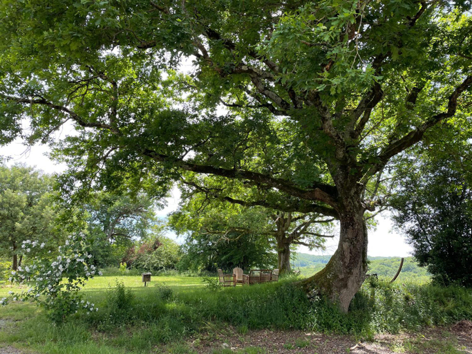 Others 5, L'Arbre penche, Gers